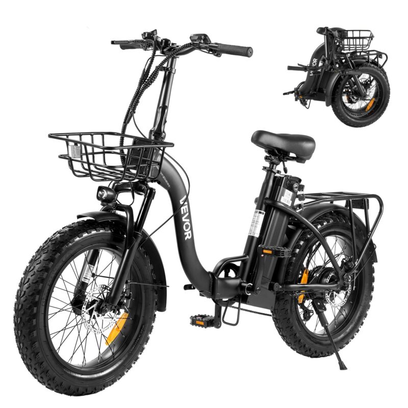 Electric Bike, 120 kg, 250 W