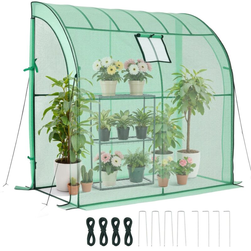 Walk-in Greenhouse, 15 kg, 198 x 100 x 200 cm, 3 tasandit